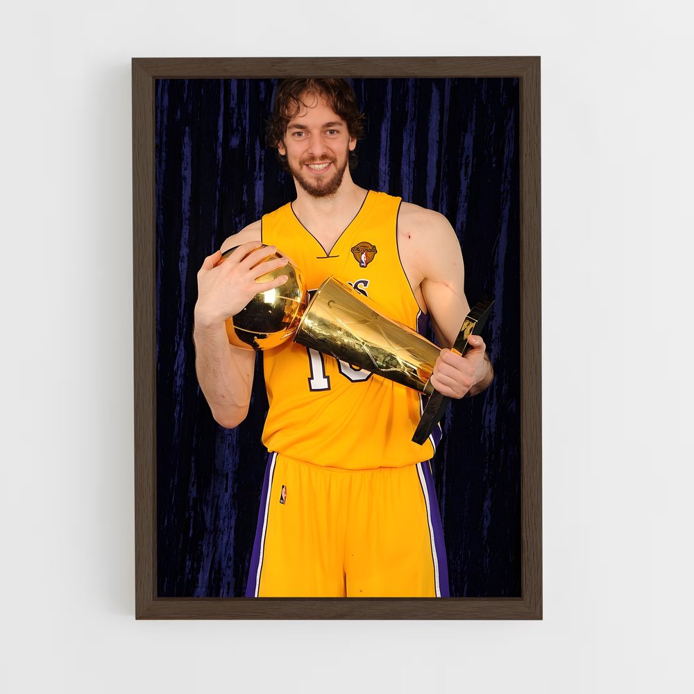 Poster La Gloire de Pau – affiche Basketball (vue 5)